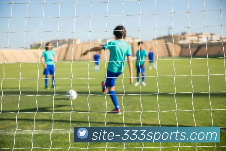 球赛投注平台生态图